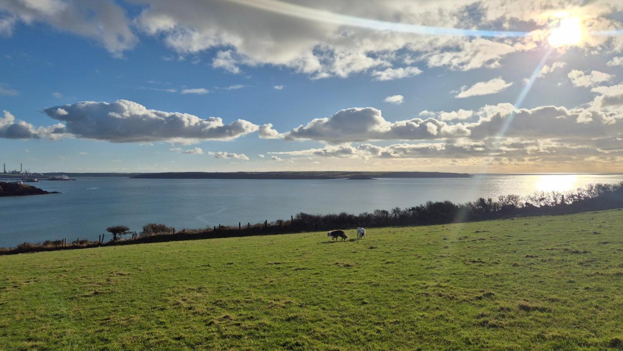 Coast Path Saint Ishmaels (Pembrokeshire)